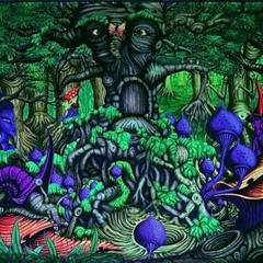 Lost In Forest (160)