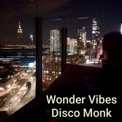 Wonder Vibes