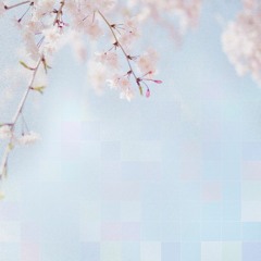 Blossom ‡