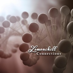 Connection 2