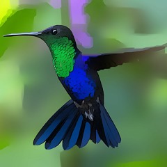 No. 36 - A felicidade nas pequenas coisas