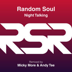 Random Soul - Night Talking (Micky More & Andy Tee Groove Culture Mix - EDIT)
