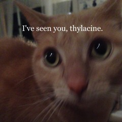 I've seen you, thylacine.