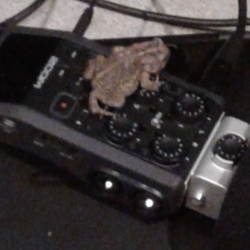 Mmm Mmm Mmm Mmm (Crash Test Dummies Cover)-Live Porch Monkies Sessions