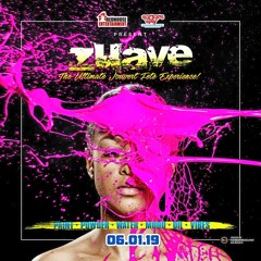 ZUAVE 2019 PROMO MIX