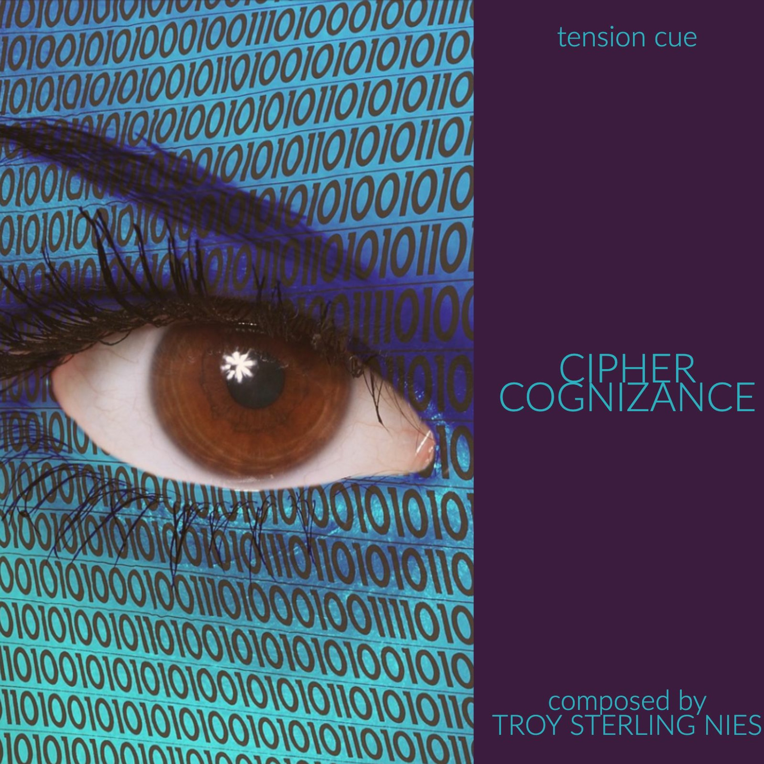 Troy Sterling Nies - composer