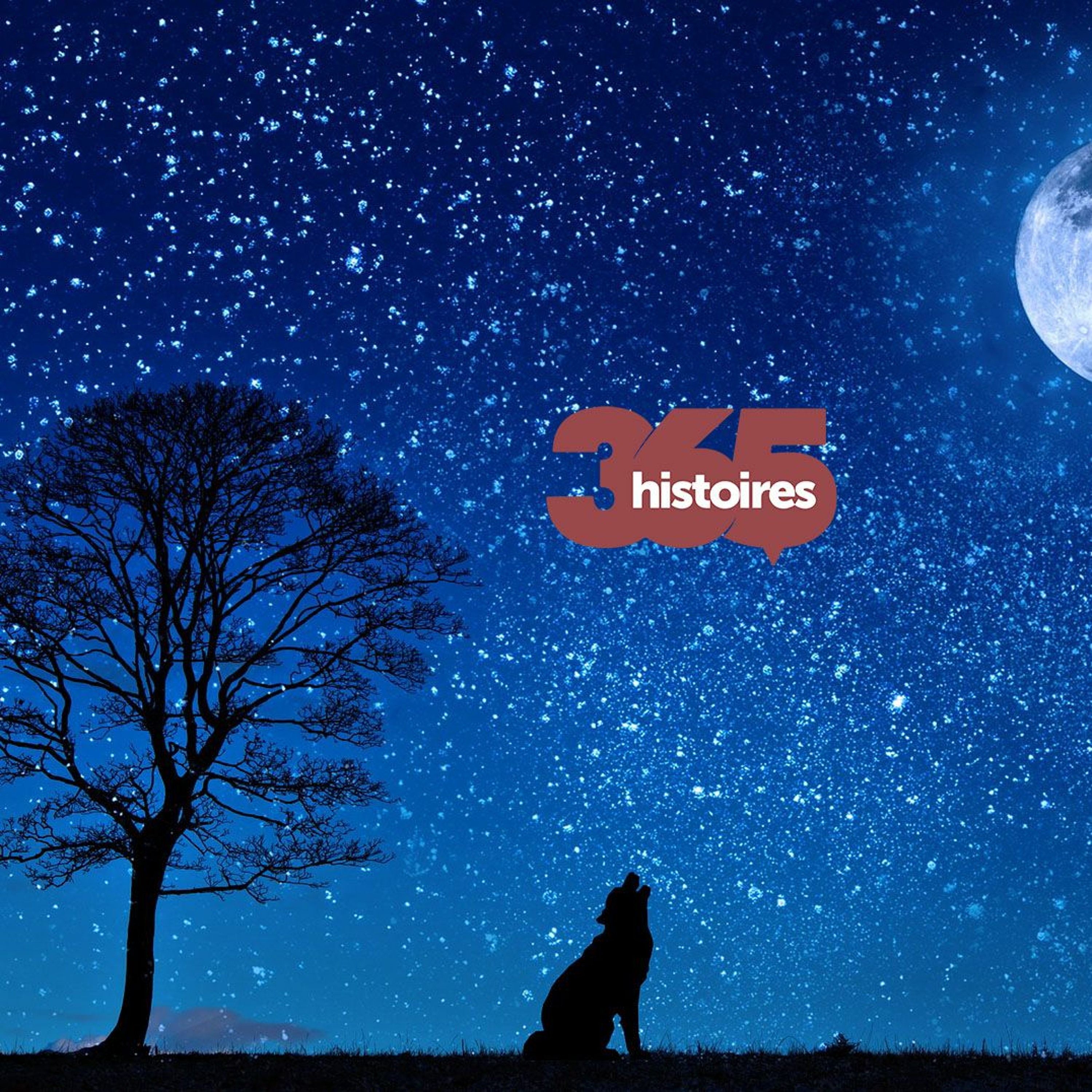 365Histoires