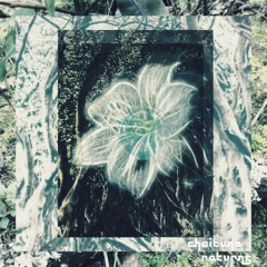 Returns [Out Now on Bandcamp, Apple Music, Spotify !!]