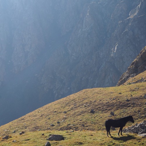 mixtape for a bit of hush