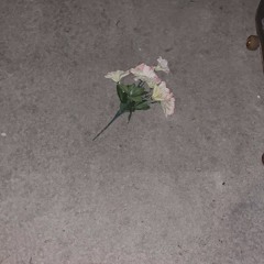 way gone (prod. lil biscuit)