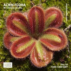 Alien Flora w/ Chlorys & Lulu ─ Noods Radio (16.05.19)