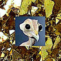 Yvncc - MONETIZE DA PUXXY -Interlude- (prod. Apoc Krysis)