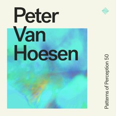 Patterns of Perception 50 - Peter Van Hoesen
