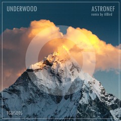 TGMS005 - Underwood - Astronef (AlBird remix)