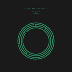 Daniel Ray - Tumbleweed (Staves Remix)