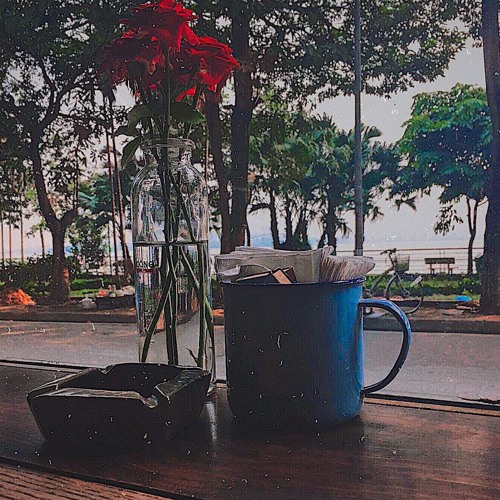 MẬT DANH - GỪNG X PUDDING