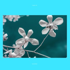 wishes (Free Download)