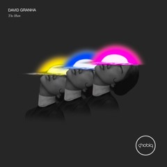 David Granha - Fallen Leaves (Original Mix)