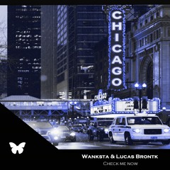 Wanksta & Lucas Brontk  - Check Me Now (Original Mix)