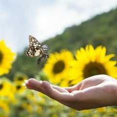 Al Otro lado Del Silencio