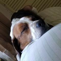 Hold me again!! Original song