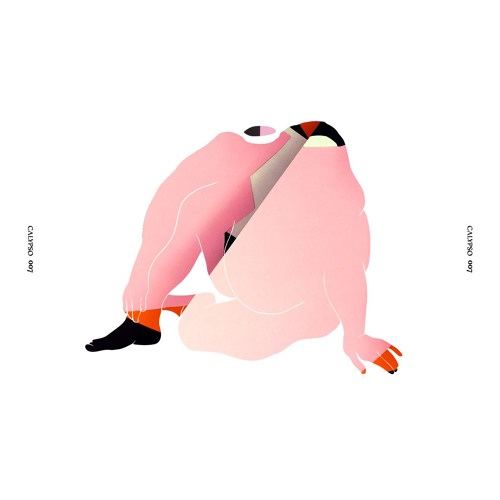 PREMIERE: Radial Gaze - Orchid Flake [Calypso Records]