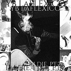 YB LaFlexicO Xanx