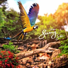 The Sunny Side - Jak Ptak