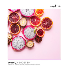 Premiere: Quatri - Who Are You (Joe Miller Remix) [Sag & Tre]