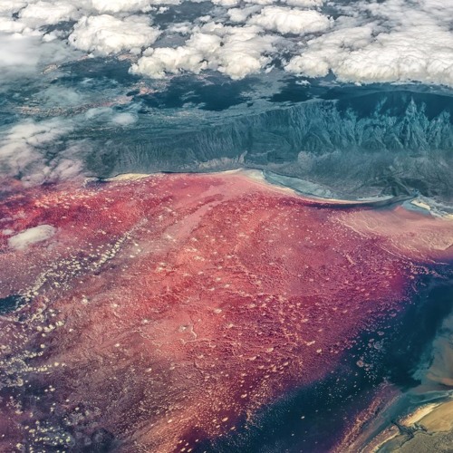 Feed Me With Your Wisdom