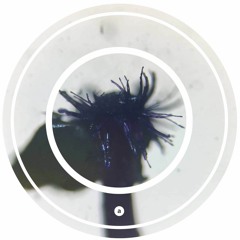 October & Borai – Swipe Left (Bash & T Remix) [Happy Skull]