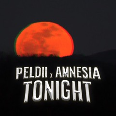 PELDII & AMNESIA - TONIGHT (#FLAU003) FREE DL