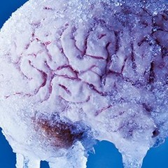 Frosty Memories