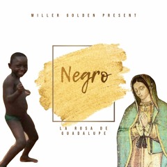 LA ROSA DE GUADALUPE (MI HIJO ES NEGRO - JODA) MILLER GOLDEN REMAQUE