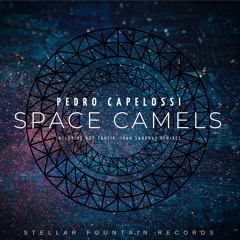 Premiere: Pedro Capelossi - Space Camels (Hot TuneiK Remix) [Stellar Fountain]