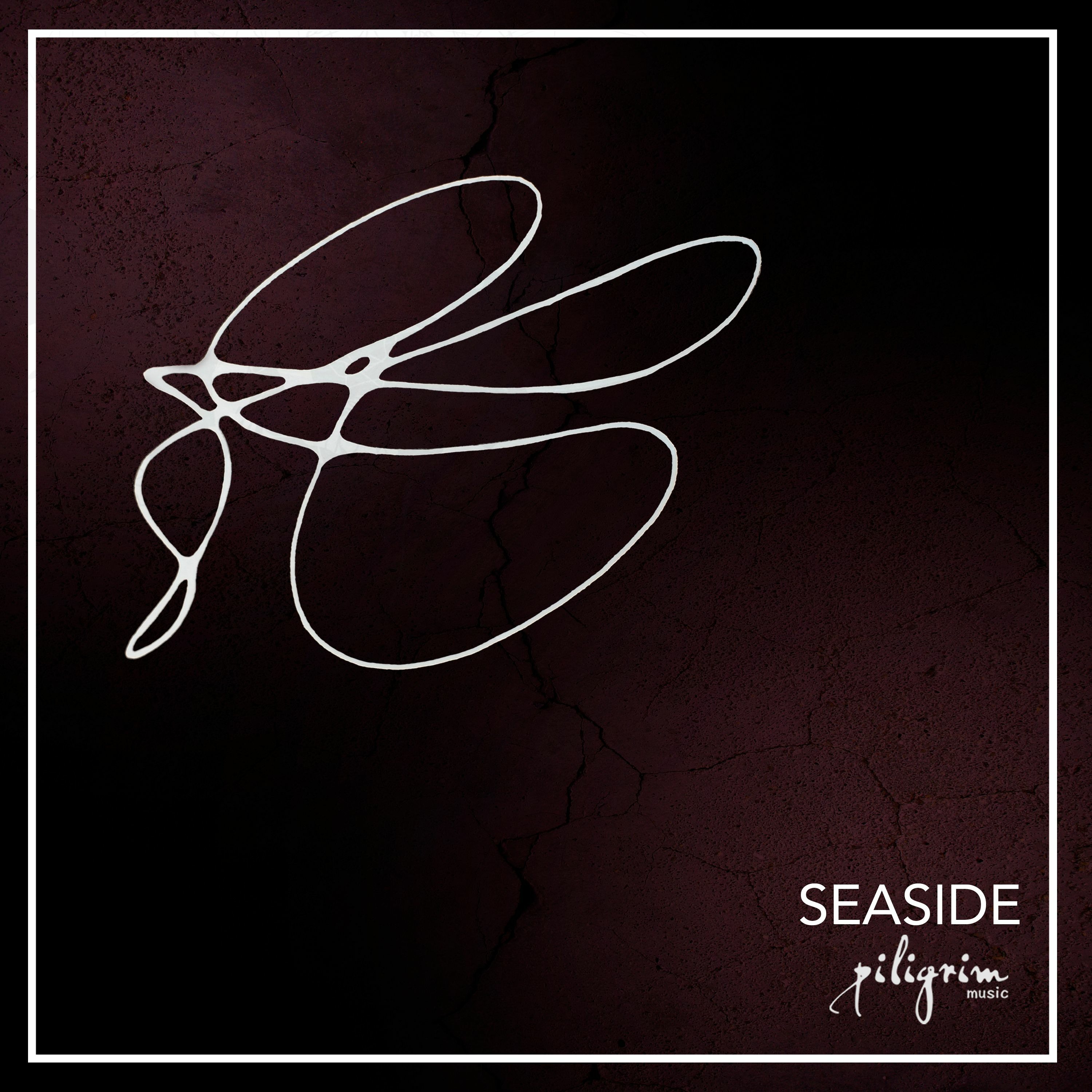 LiVAiL - Seaside (Studio Deep Remix)