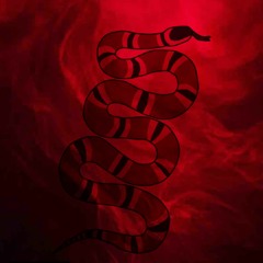 Designer (Prod. By Ace Bankz)