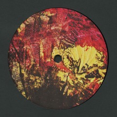 IT021 DARIO ZENKER - ALTO FRAGMENTS