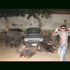 Slow Twitch (with Edgar Bera)