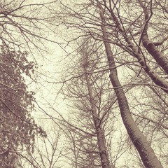 Winter Winds