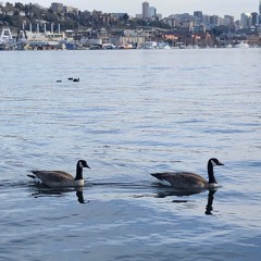 Audio- Original by Katie & Raquel