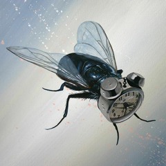 Slick Turpin - Time Flies (Hip-Hop/Rap Instrumental)