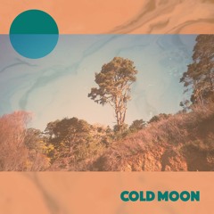 Cold Moon - Wake Up