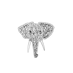 Elephant In The Room ◑