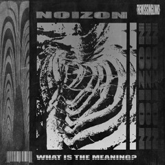 Noizon - What Is The Meaning
