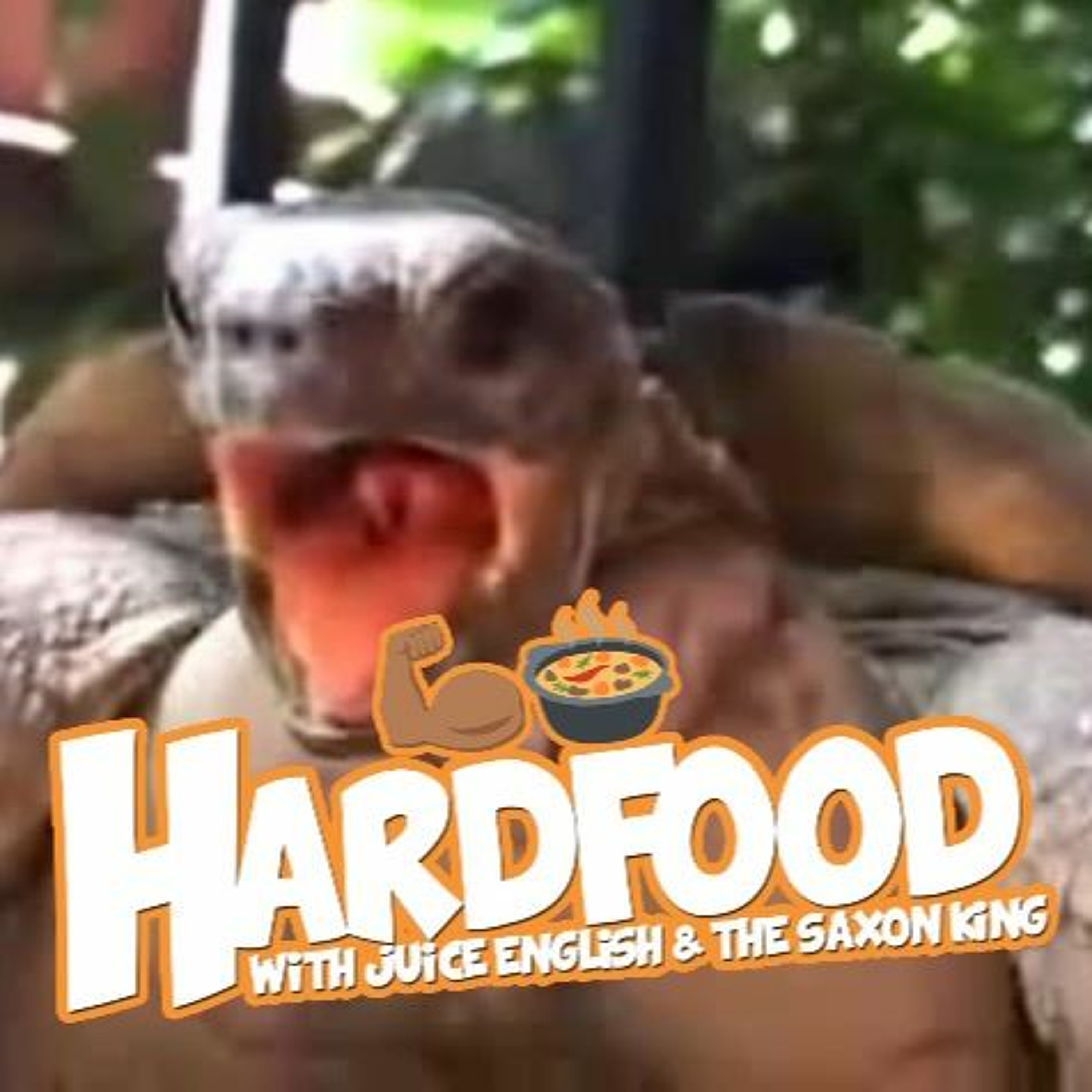 HARDFOOD
