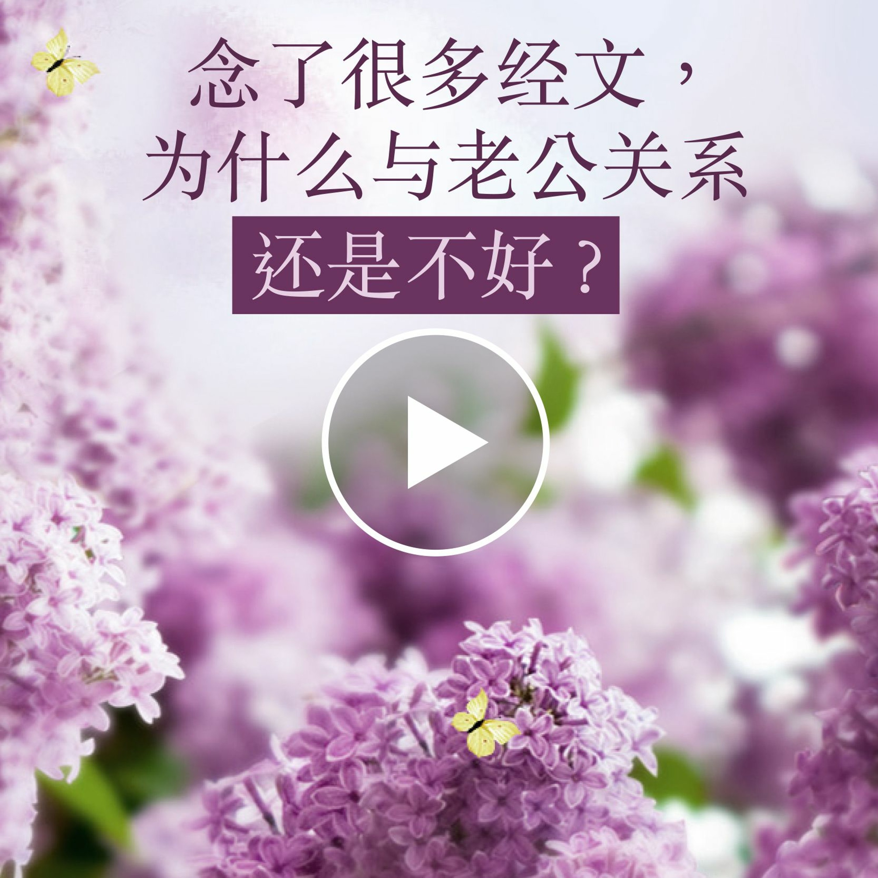 wenda120115 念了很多经文 , 为什么与老公关系还是不好 episode artwork