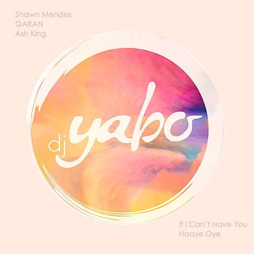 Can't Have You x Haaye Oye (Shawn Mendes, Ash King & QARAN)