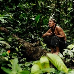 La selva