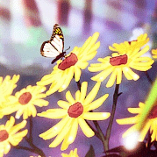 sun yehoshua - vanilla (free dl)